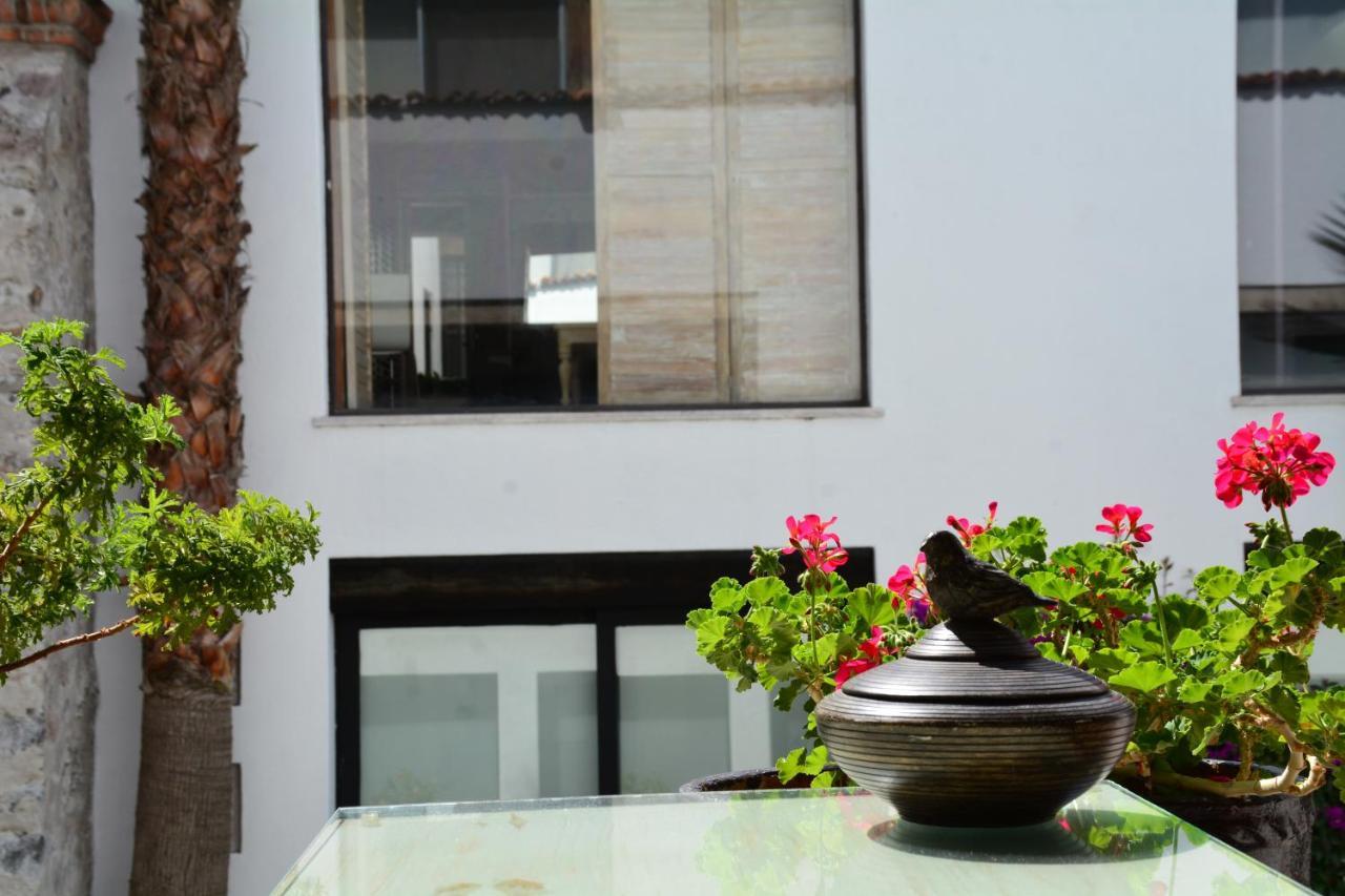 Hotel & Spa Dona Urraca סאן מיגל דה אלנדה מראה חיצוני תמונה
